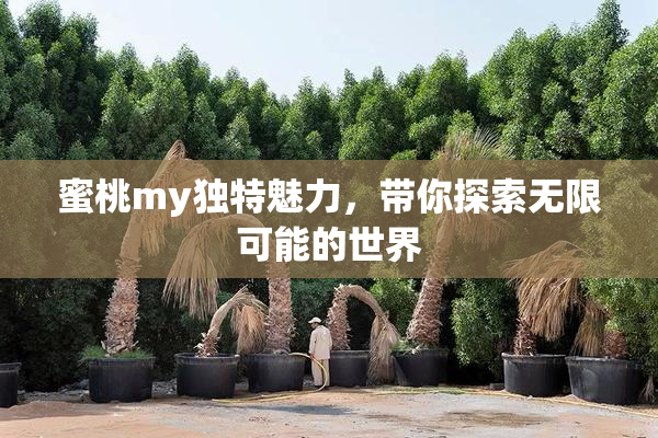 蜜桃my独特魅力，带你探索无限可能的世界