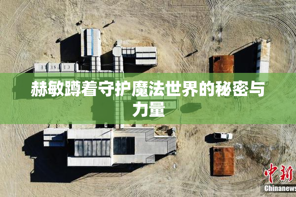 赫敏蹲着守护魔法世界的秘密与力量