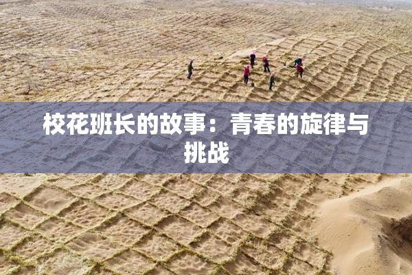 校花班长的故事：青春的旋律与挑战