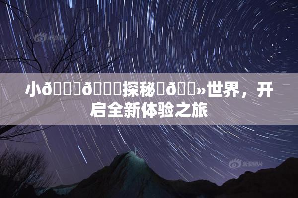 小🐔🐔探秘‌🐻世界，开启全新体验之旅
