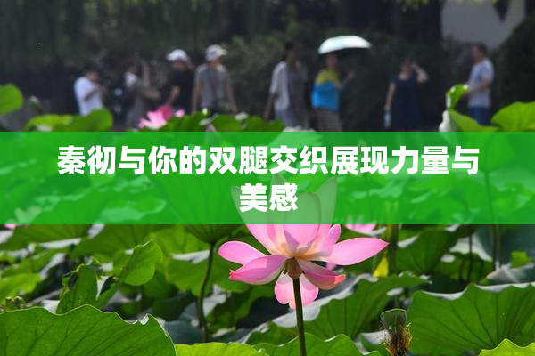 秦彻与你的双腿交织展现力量与美感