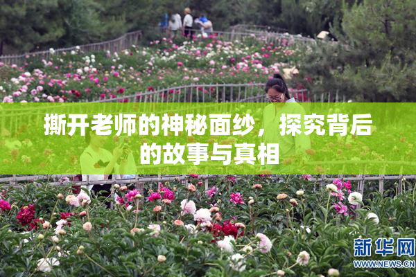 撕开老师的神秘面纱，探究背后的故事与真相