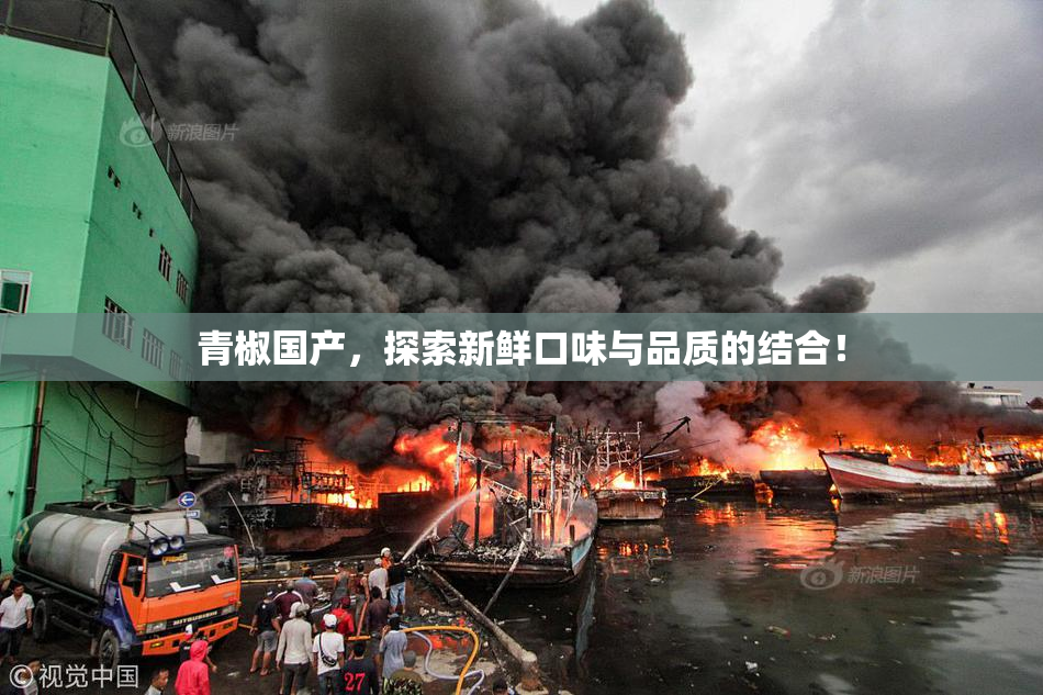 青椒国产，探索新鲜口味与品质的结合！