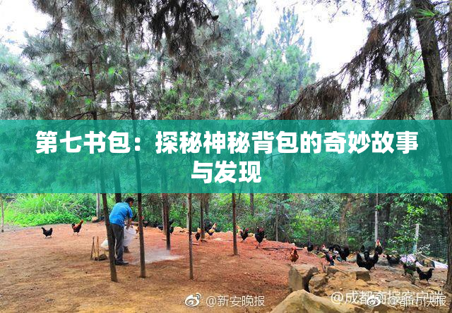 第七书包：探秘神秘背包的奇妙故事与发现