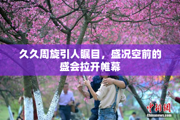 久久周旋引人瞩目，盛况空前的盛会拉开帷幕