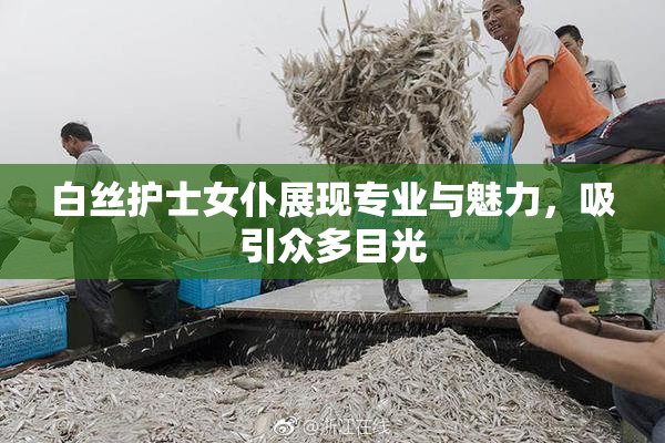 白丝护士女仆展现专业与魅力，吸引众多目光
