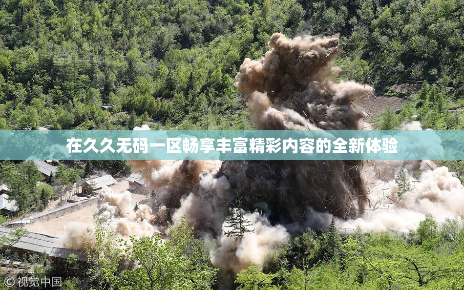在久久无码一区畅享丰富精彩内容的全新体验