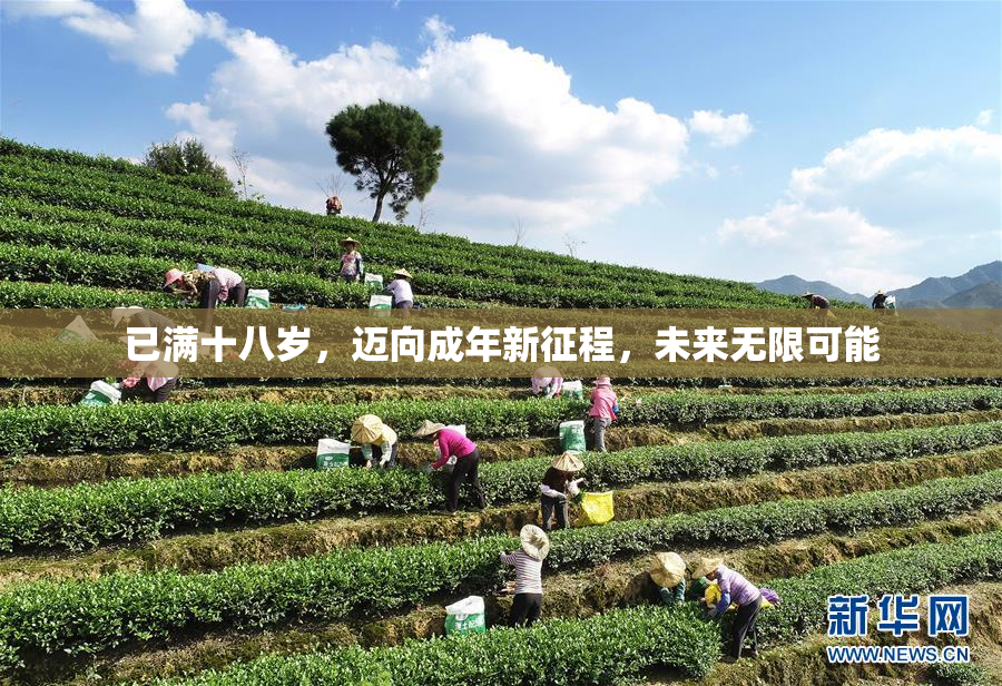 已满十八岁，迈向成年新征程，未来无限可能