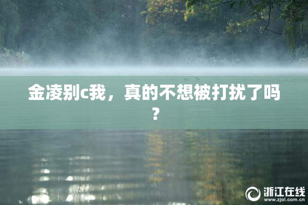金凌别c我，真的不想被打扰了吗？