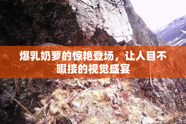 爆乳奶萝的惊艳登场，让人目不暇接的视觉盛宴
