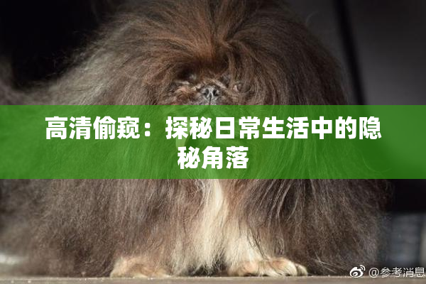 高清偷窥：探秘日常生活中的隐秘角落