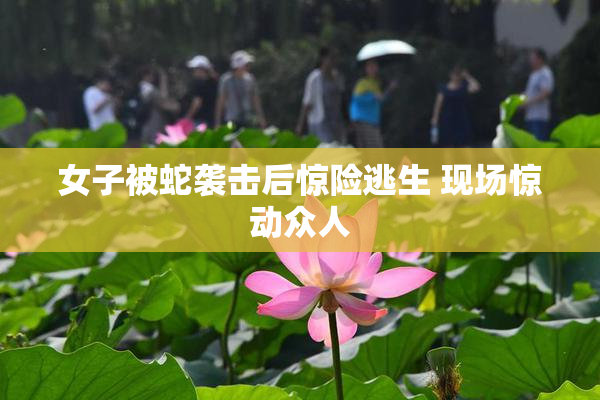 女子被蛇袭击后惊险逃生 现场惊动众人
