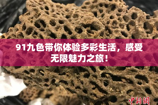 91九色带你体验多彩生活，感受无限魅力之旅！