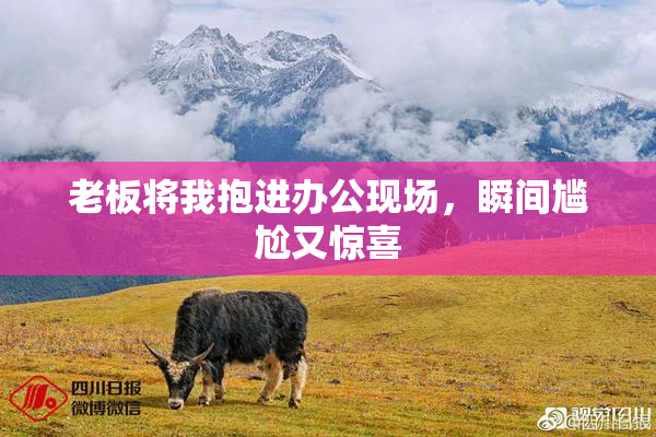 老板将我抱进办公现场，瞬间尴尬又惊喜