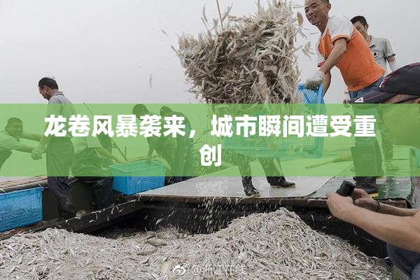 龙卷风暴袭来，城市瞬间遭受重创