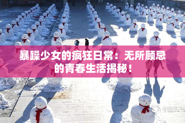 暴躁少女的疯狂日常：无所顾忌的青春生活揭秘！