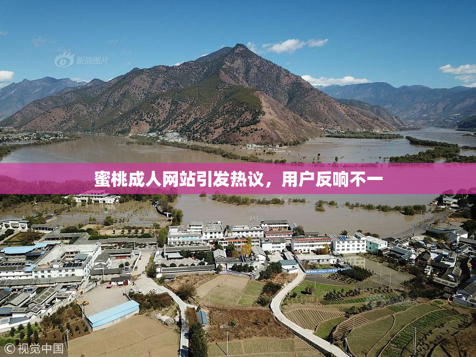 蜜桃成人网站引发热议，用户反响不一