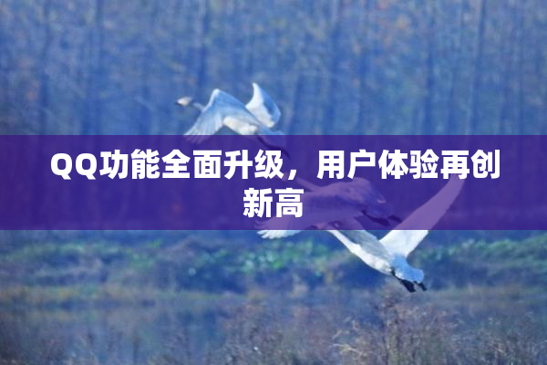QQ功能全面升级，用户体验再创新高