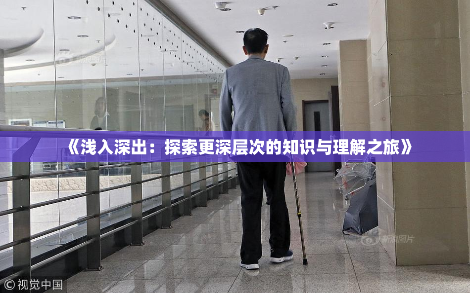 《浅入深出：探索更深层次的知识与理解之旅》