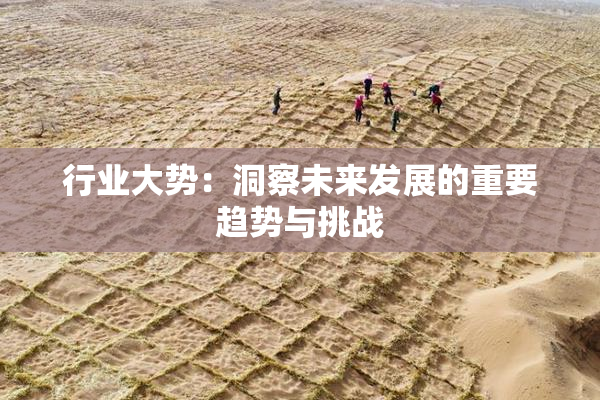 行业大势：洞察未来发展的重要趋势与挑战