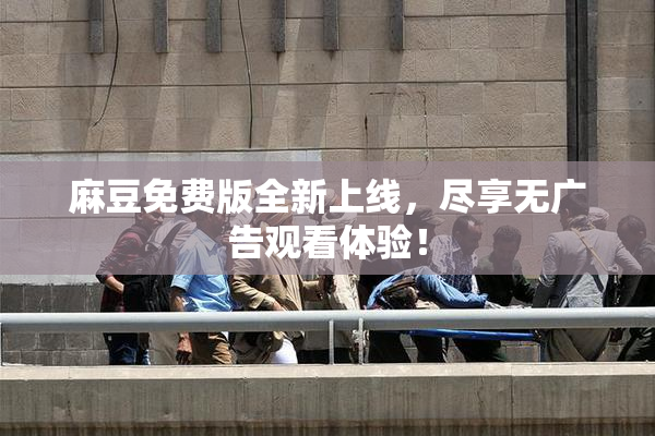麻豆免费版全新上线，尽享无广告观看体验！