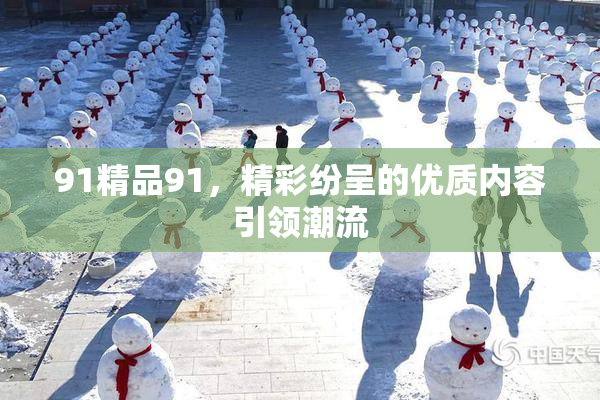 91精品91，精彩纷呈的优质内容引领潮流