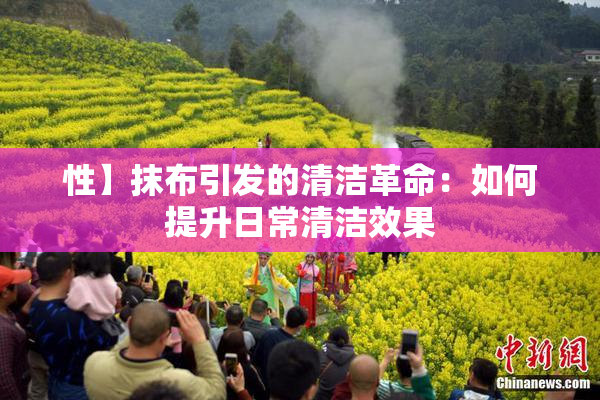 性】抹布引发的清洁革命：如何提升日常清洁效果