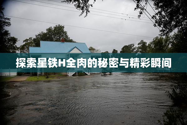 探索星铁H全肉的秘密与精彩瞬间