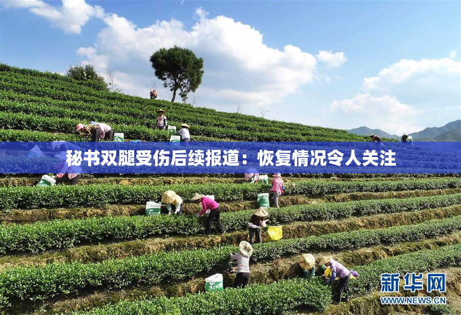 秘书双腿受伤后续报道：恢复情况令人关注