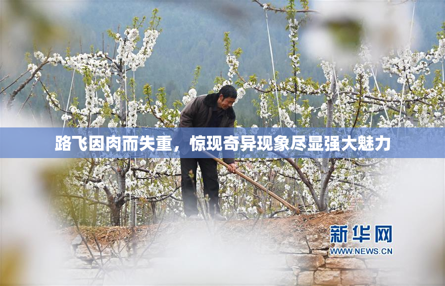 路飞因肉而失重，惊现奇异现象尽显强大魅力