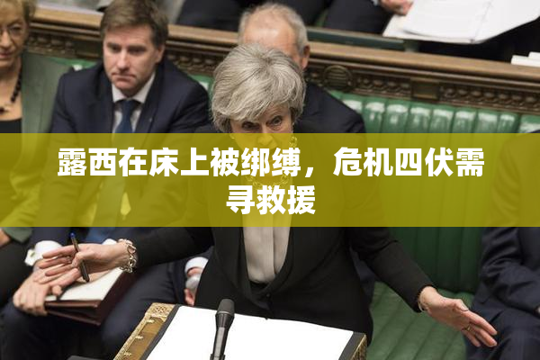 露西在床上被绑缚，危机四伏需寻救援