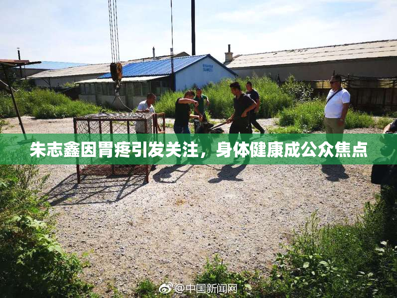 朱志鑫因胃疼引发关注，身体健康成公众焦点