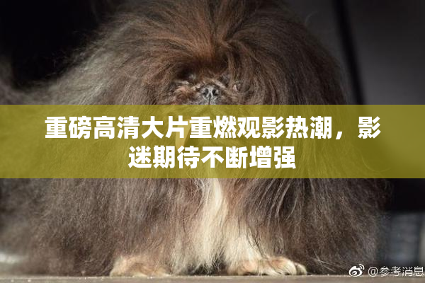 重磅高清大片重燃观影热潮，影迷期待不断增强
