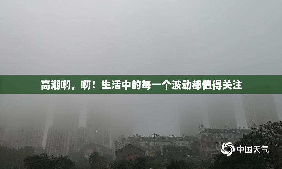高潮啊，啊！生活中的每一个波动都值得关注