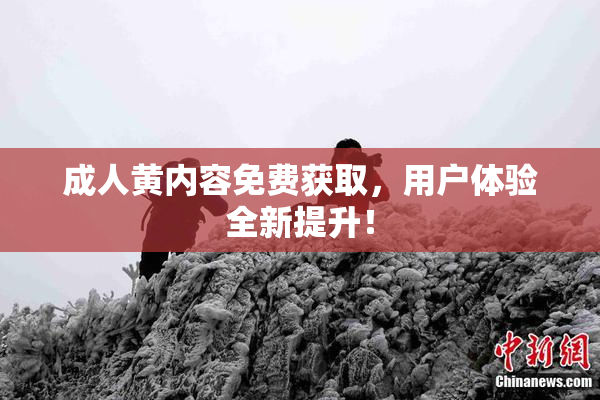 成人黄内容免费获取，用户体验全新提升！