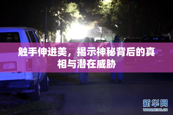 触手伸进美，揭示神秘背后的真相与潜在威胁