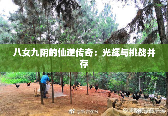 八女九阴的仙逆传奇：光辉与挑战并存