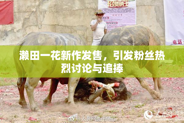 濑田一花新作发售，引发粉丝热烈讨论与追捧