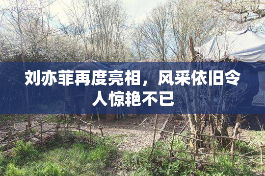 刘亦菲再度亮相，风采依旧令人惊艳不已
