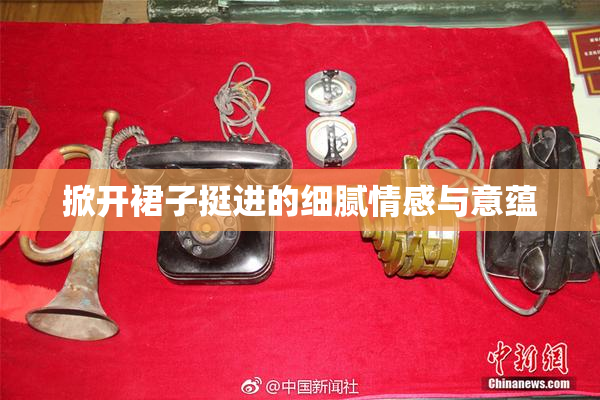 掀开裙子挺进的细腻情感与意蕴
