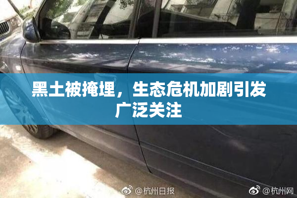黑土被掩埋，生态危机加剧引发广泛关注