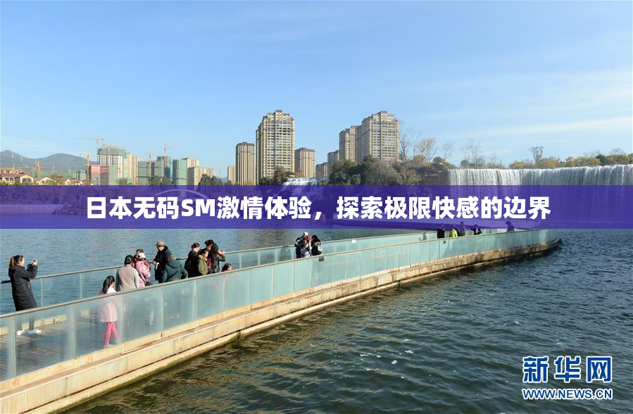 日本无码SM激情体验，探索极限快感的边界