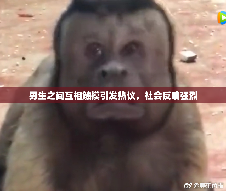 男生之间互相触摸引发热议，社会反响强烈