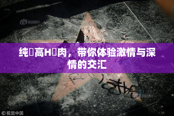 纯愛高H純肉，带你体验激情与深情的交汇