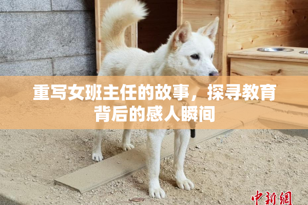 重写女班主任的故事，探寻教育背后的感人瞬间