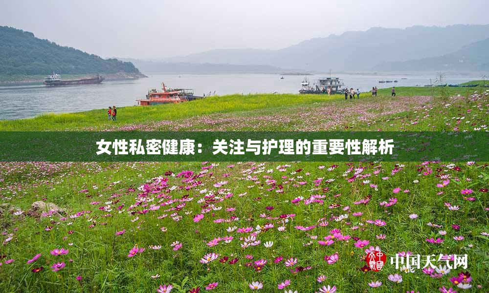 女性私密健康：关注与护理的重要性解析