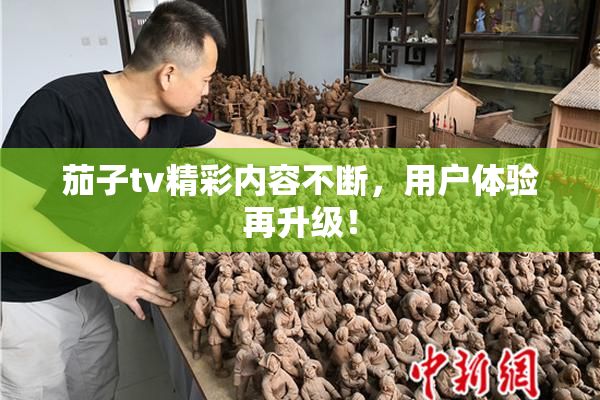 茄子tv精彩内容不断，用户体验再升级！
