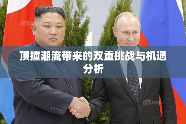 顶撞潮流带来的双重挑战与机遇分析