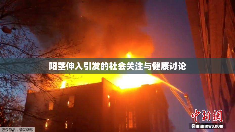 阳茎伸入引发的社会关注与健康讨论