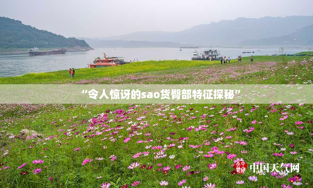 “令人惊讶的sao货臀部特征探秘”